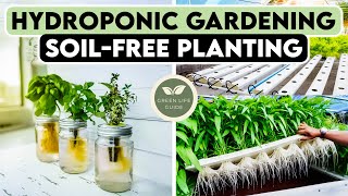 Hydroponic Gardening 101: Grow Plants Without Soil