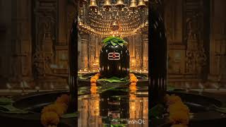 Lingashtakam🕉#Lord Shiva Songs |Brahma Murari SurarchitaLingam# #Lingashtakam​#Shiva​#Devotional​