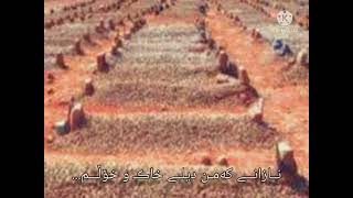 انشودة مالي وقفت على القبور مسلما اسلام صبحي | ژێرنوسکراوی کوردی