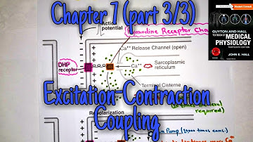 Excitation Contraction coupling chapter 7(part 3/3)- Guyton and hall text book of medical physiology