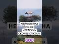 NEW ON THE CHANNEL A REAL HIT Newmusic Ukrainianmusic Ivanyasyn 