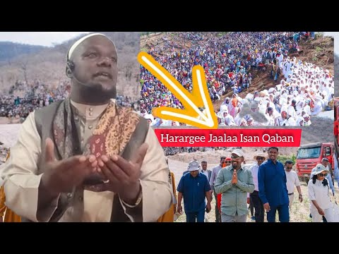 Sheikh Abdusalam Kadir Satarin Yo Oboleysa Keessaan Haraqeen Iraa Xirotee 12 March 2025