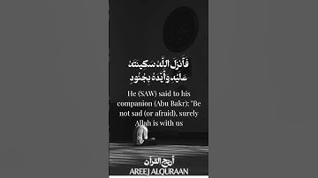 لا تحزن إن الله معنا #سورة #آيه #قرآن_كريم #فلسطين #غزة