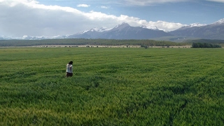 Far Cry 5: Field Teaser