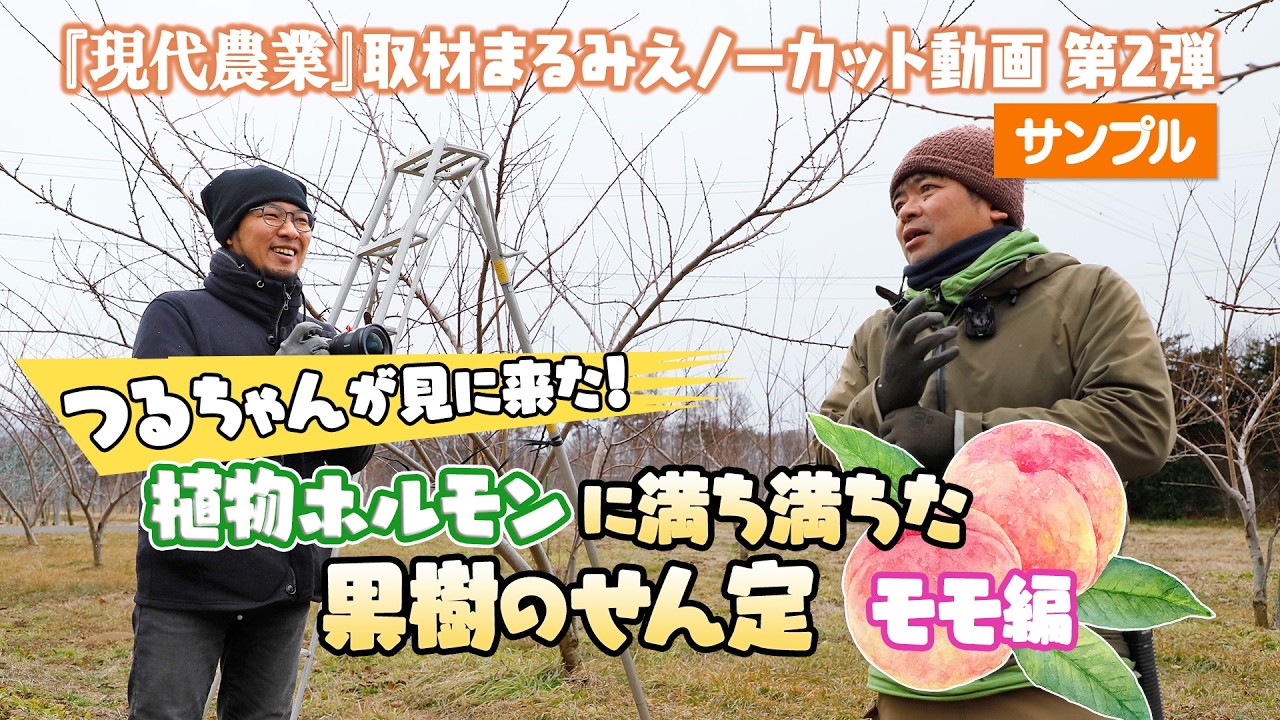 toさん専用 ちばちゃんの安心♡元気な果樹のWプランツと接木用枝3種 Tsuru-chan came to see! Pruning fruit trees filled with plant