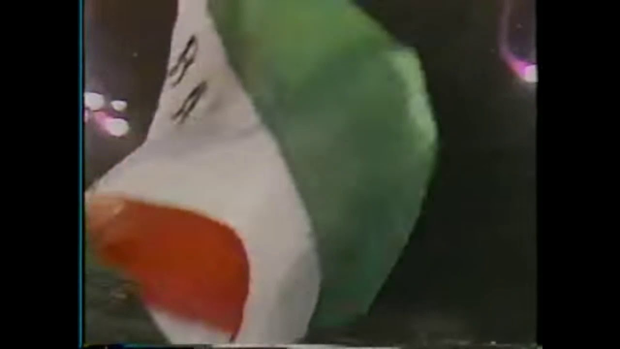 Iron Sheik vs Jobber Scott Casey WWF Superstars 1988 YouTube