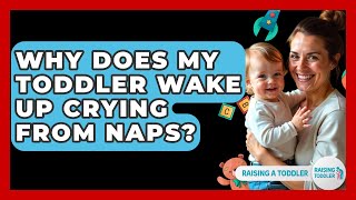 Why Does My Toddler Wake Up Crying From Naps? - Raising A Toddler