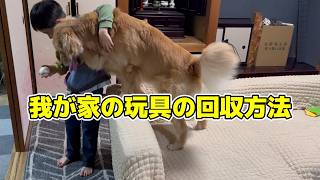 愛犬にも優しい玩具の取り上げ方♪ #ペットのいる生活 #トト