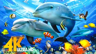 ВИДЕО Aquarium 4K ULTRA HD 🐠 Морские животные с расслабляющей музыкой
