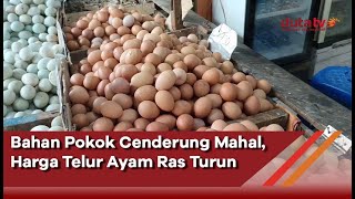 Bahan Pokok Cenderung Mahal, Harga Telur Ayam Ras Turun | Berita Ekonomi