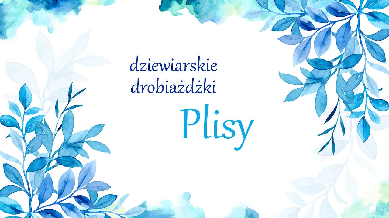 Plisy - dziewiarskie drobiażdżkI