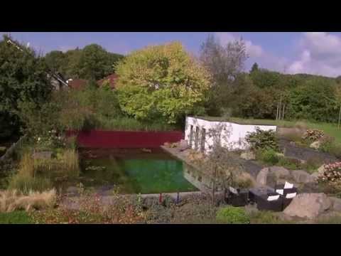 gartengestaltung:-moderne-gärten