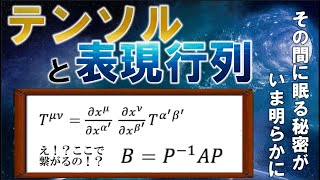 表現行列とテンソル、その意外な関係とは？【リーマン幾何学/一般相対性理論】