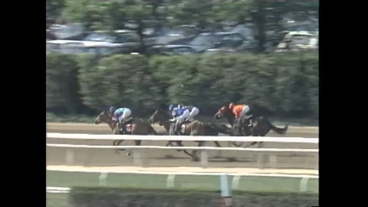 Meadow Star - 1991 Mother Goose Stakes (G1)