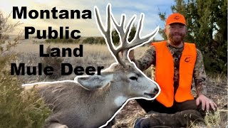 Montana Mule Deer Hunting - DIY Public Land - American Safari 3.0 - Ep. 6 by SCliving Outdoors 733 views 1 year ago 15 minutes