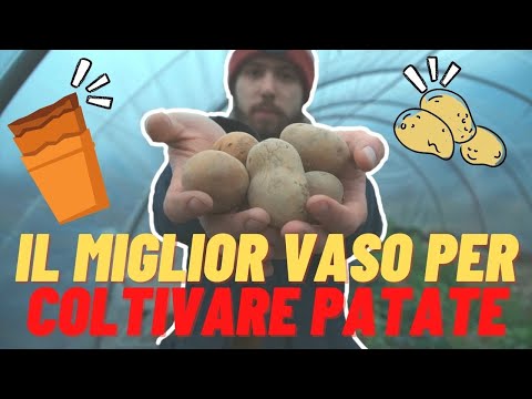 Video: Giardinaggio con sacchi per la coltivazione - Che cos'è una sacca per la coltivazione e a cosa servono i sacchi per la coltivazione