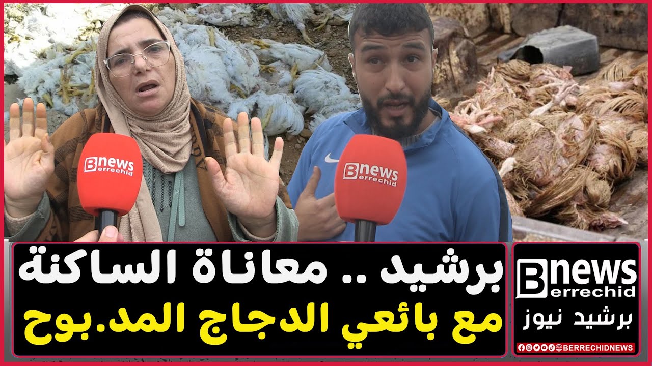 برشيد .. معاناة السكان مع بائعي الدجاج المــ ــدبوح 