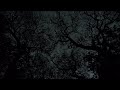 Night Sky Stars Timelapse 🌿 | 4-Hour Background Music | Study & Sleep | Calm Veritas