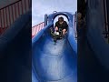 This is how you go down a slide on a pogostick shorts