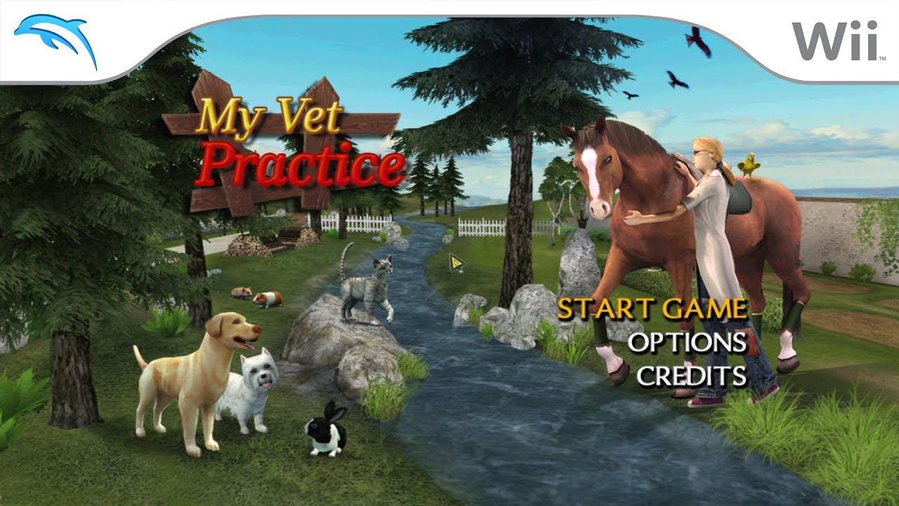 Veterinarian games for pc healthcarelasopa