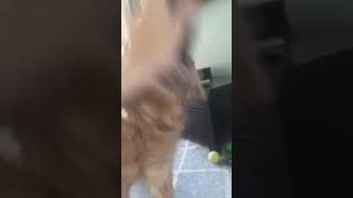 Daily snaps 8/9/18
