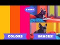 How to perfectly match colors color palette prompting in your images using sref in midjourney