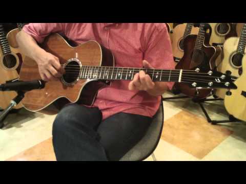 Dolphin Guitars - BREEDLOVE Focus SE Demo - Player 細川MASH - YouTube