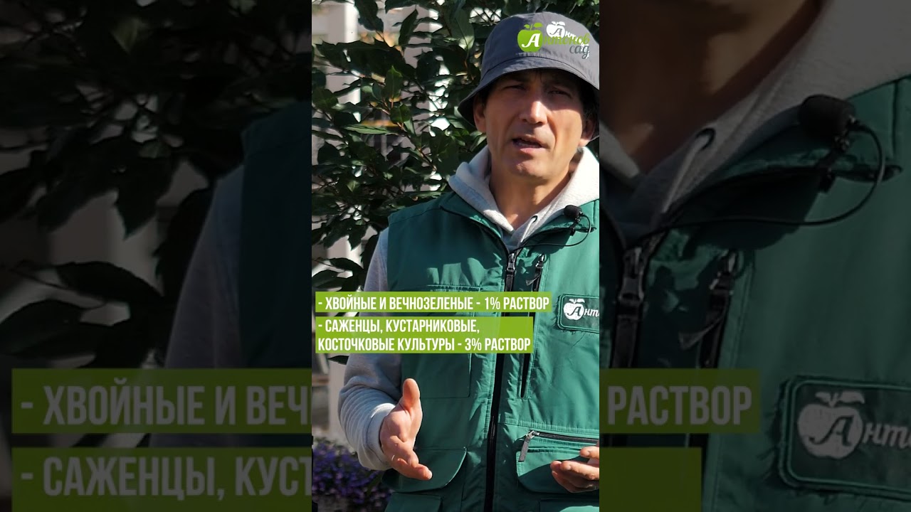 Как развести железный купорос? #антоновсад #обработкасада #фунгицид