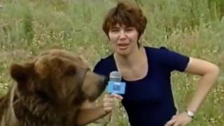 Медведь напал на журналиста