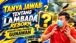 Q&A About the Lambada Reborn with Its Caretaker, Gunawan