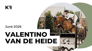 VALENTINO VAN DE HEIDE