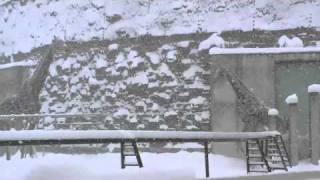 大雪の中を歩くマサイキリン