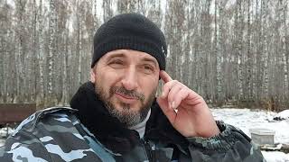 видео: Потери пчёл осенью/ итоги сезона 2025 по бакфасту картинка: Потери пчёл осенью/ итоги сезона 2025 по бакфасту