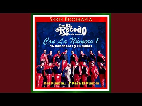 Banda El Recodo De Cruz Lizárraga - La Diferencia