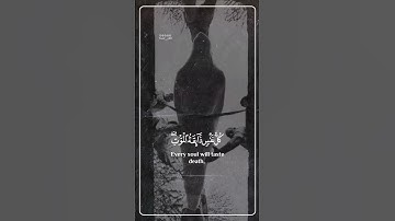 تلاوة مبكية خاشعة ..{ كُلُّ نَفْسٍ ذَائِقَةُ الْمَوْتِ } .. من سورة العنكبوت .. ياسر الدوسري