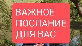 📌Важное Послание Для Вас🔥#Тародлямужчин#Таро#Таролог#Тарорасклад