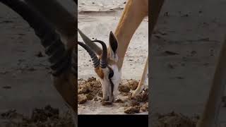 Quá đúng rồi