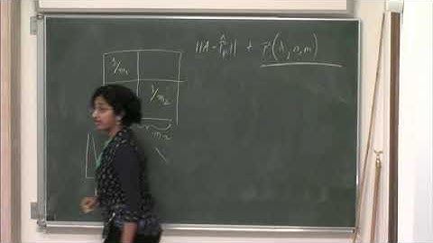 Prof. Purna Sarkar | Convex Relaxation for Community Detection with Covariates