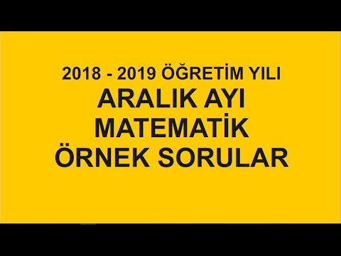 2018-2019 LGS ARALIK