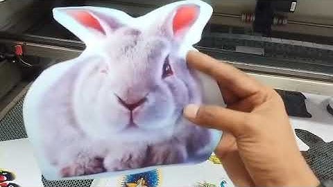 🚀 CNC Laser Machine Full Working Demo | Precision Cutting Test |