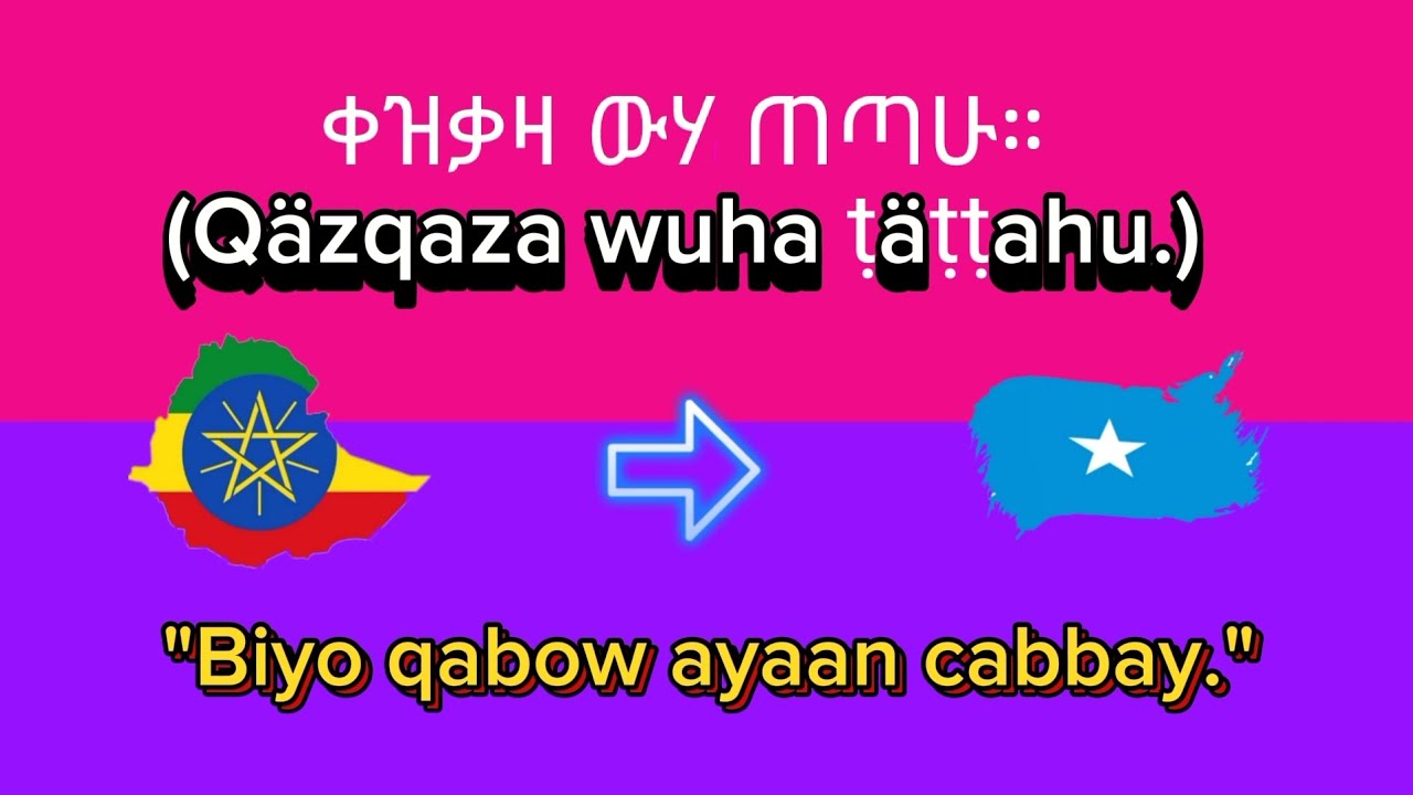 Baro Amharic To Somali - Weedho Muhiim ah [PART8️⃣]