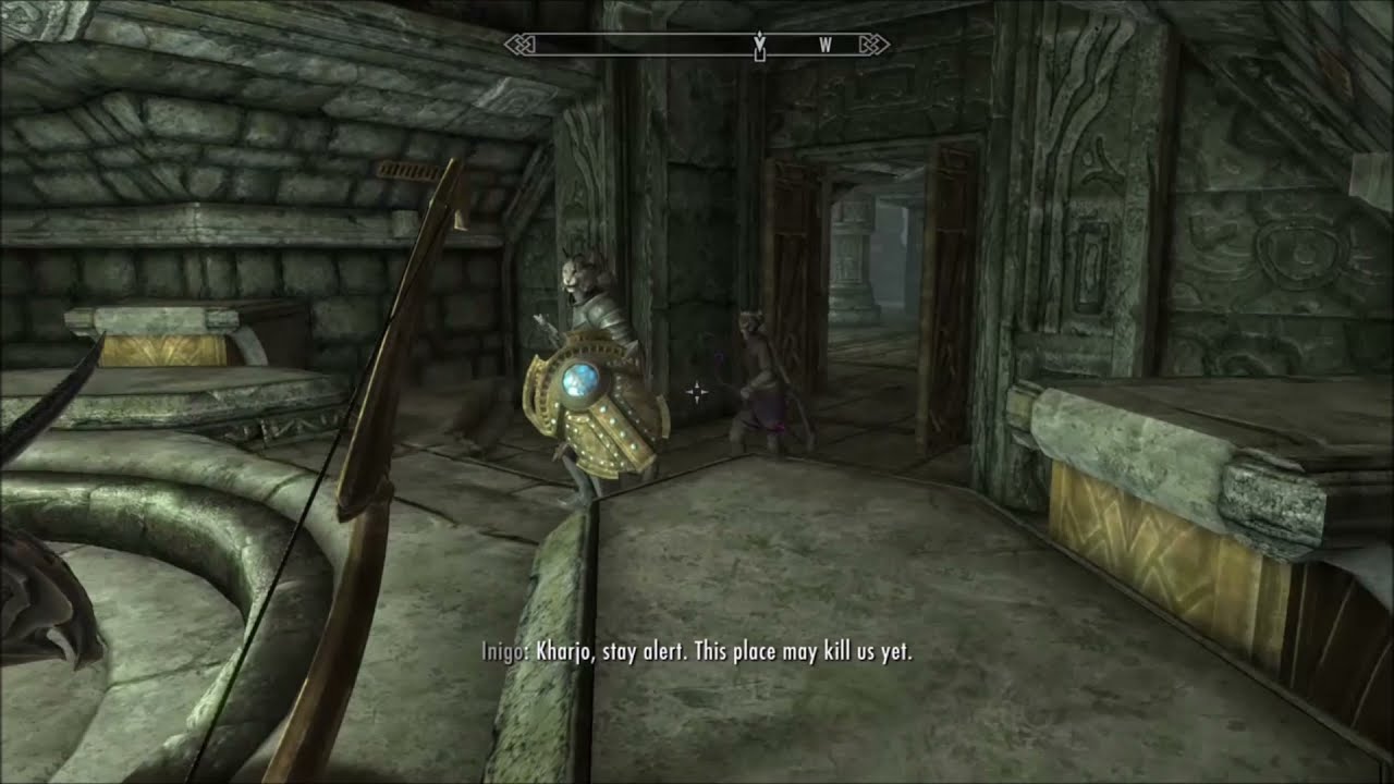 Inigo And Kharjo Briefly Discuss Being Wary (Skyrim: Special Edition)