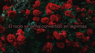 Cristian Castro - Lloran Las Rosas (Letra) ♡