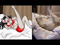 world most hottest and sexiest cat ever 😹 funny cats memes 🤣
