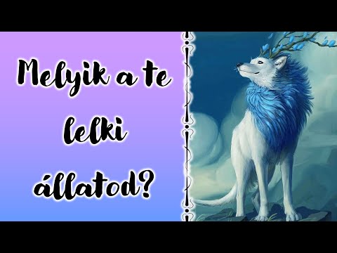 Videó: Ki illik a legjobban a librákhoz?