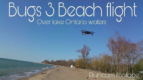 Bugs 3 camera mod beach flight