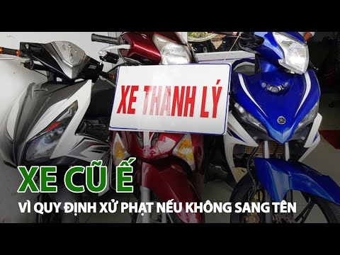 Video: Chức Năng Cơ Tâm Lý