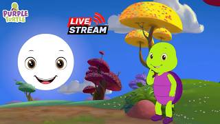🔴 LIVE! Purple Turtle | Kids Learning | Animated Videos