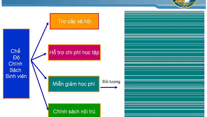 Chế độ chính sách trong sinh viên là gì năm 2024