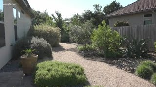 Tips and tricks for a green and thriving garden during summer